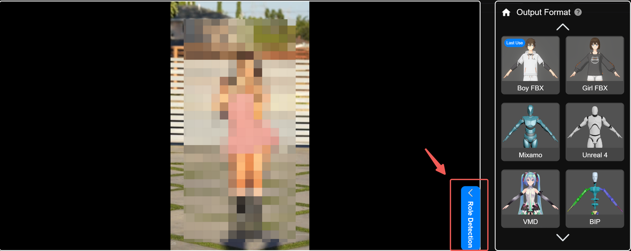 Step 2: Additional Role Detection